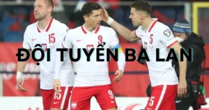 Đội Tuyển Ba Lan: Thành tích thi đấu quốc tế